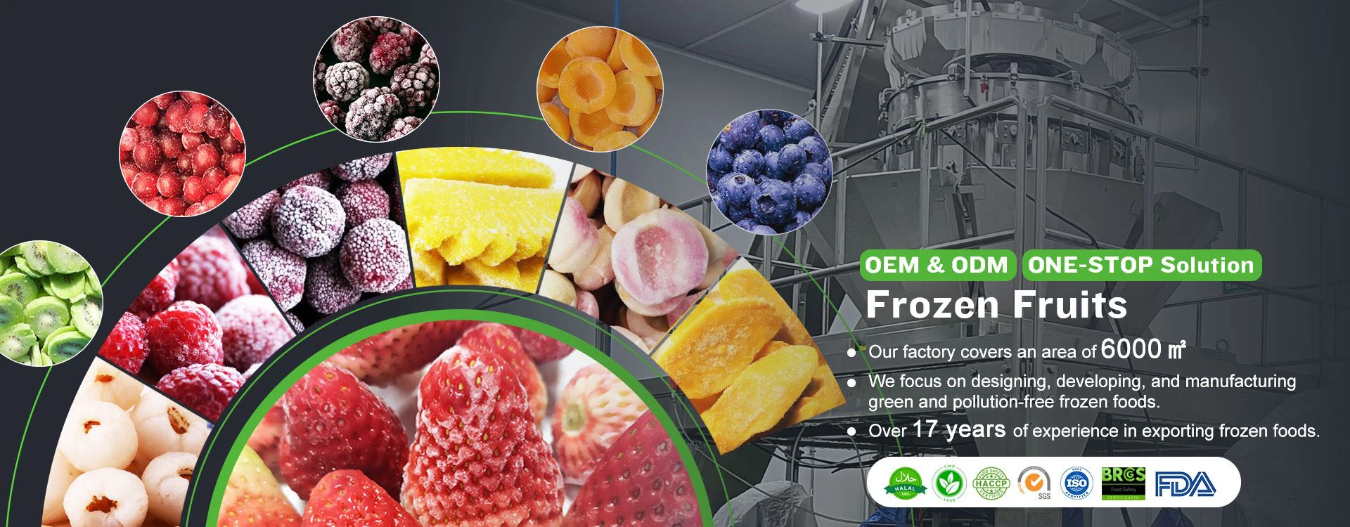 Frozen Fruits
